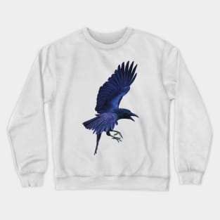 Raven in flight. Beautiful sheens of blue, purples and black. An understated bird. Bird lovers gift Crewneck Sweatshirt